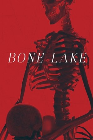 Bone Lake (2025) WEBRIP Hindi (MULTI AUDIO) 720p – 480p – 1080p